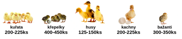 Snímka obrazovky 2026-03-02 o 19.47.26